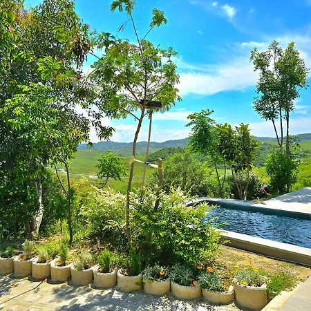 Villa Cape Of Rodon Vila With Pool - 277